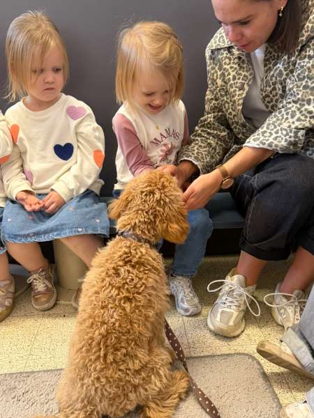WhatsApp-Image-2026-10-17-at-22.31.01-7